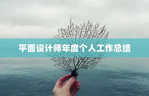 平面设计师年度个人工作总结