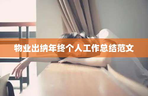 物业出纳年终个人工作总结范文