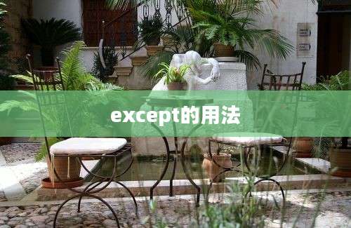 except的用法