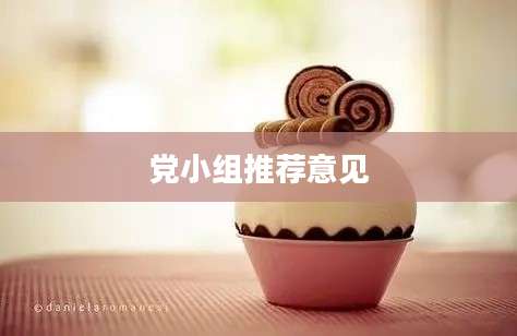 党小组推荐意见