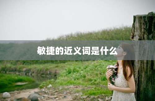 敏捷的近义词是什么