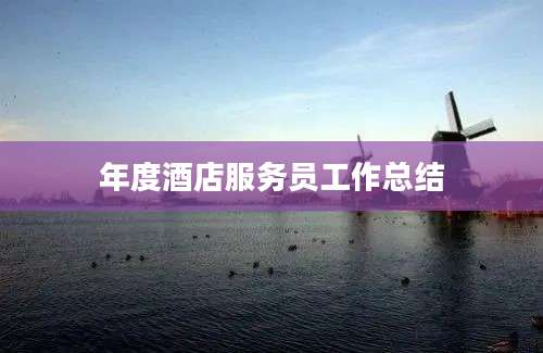年度酒店服务员工作总结