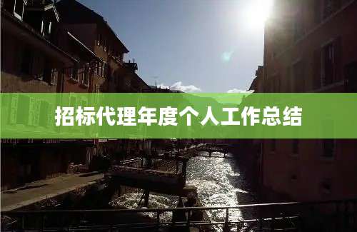 招标代理年度个人工作总结