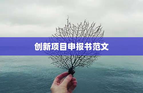 创新项目申报书范文