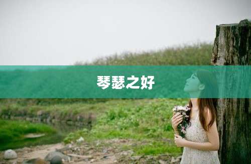 琴瑟之好