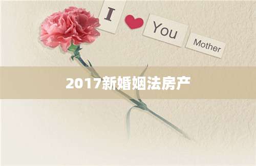 2017新婚姻法房产