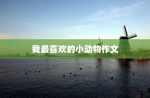 我最喜欢的小动物作文