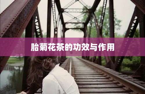胎菊花茶的功效与作用