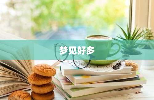 梦见好多