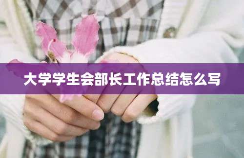 大学学生会部长工作总结怎么写