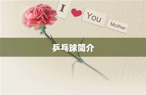 乒乓球简介