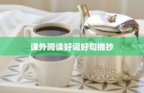 课外阅读好词好句摘抄