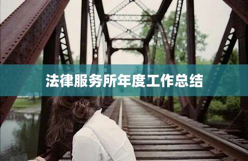 法律服务所年度工作总结