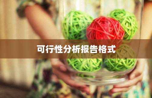 可行性分析报告格式