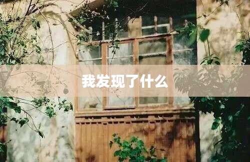 我发现了什么