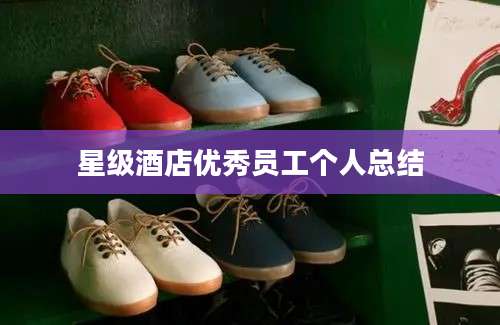 星级酒店优秀员工个人总结