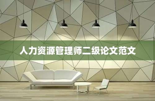 人力资源管理师二级论文范文