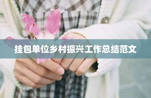 挂包单位乡村振兴工作总结范文