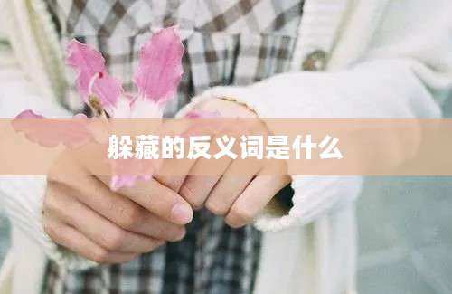躲藏的反义词是什么