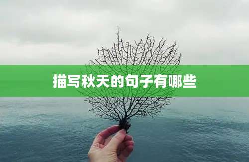 描写秋天的句子有哪些