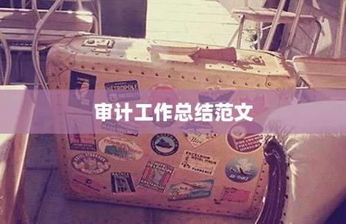 审计工作总结范文