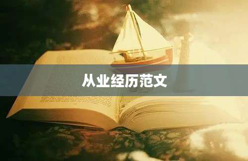 从业经历范文