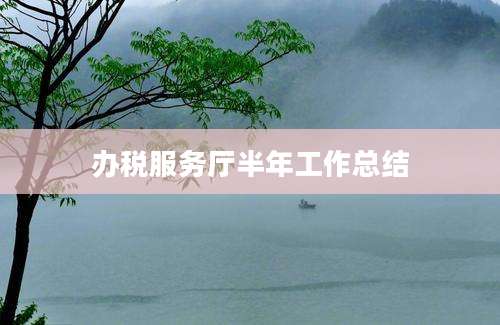 办税服务厅半年工作总结