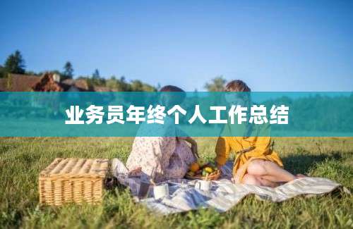 业务员年终个人工作总结