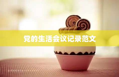 党的生活会议记录范文