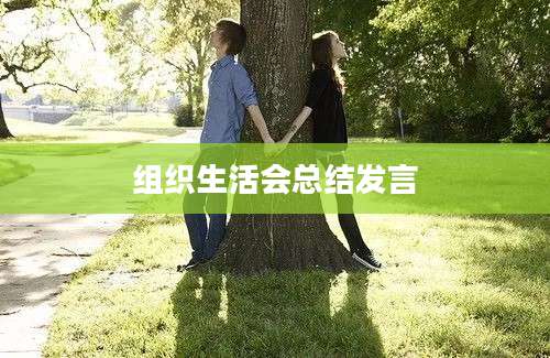 组织生活会总结发言
