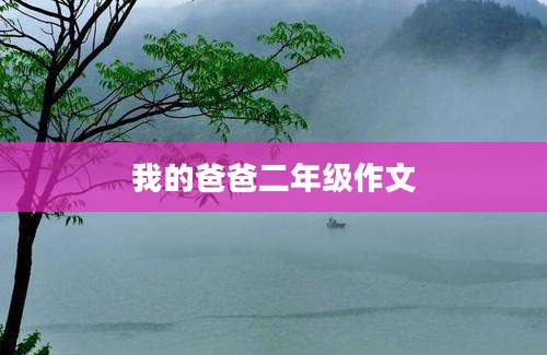 我的爸爸二年级作文