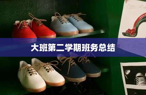 大班第二学期班务总结