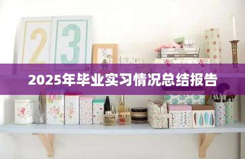 2025年毕业实习情况总结报告