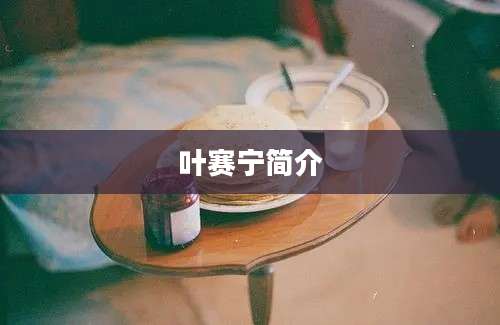 叶赛宁简介