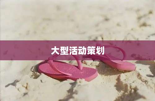 大型活动策划