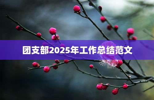 团支部2025年工作总结范文
