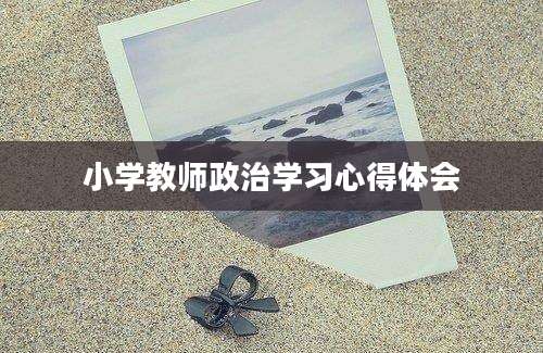 小学教师政治学习心得体会