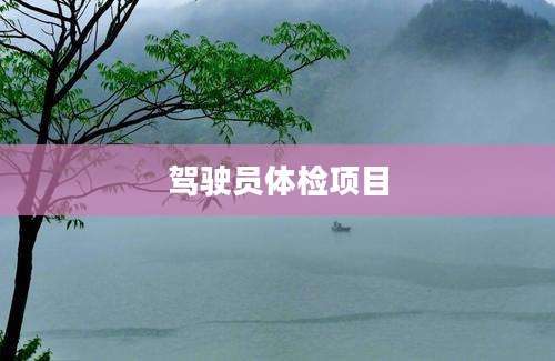 驾驶员体检项目