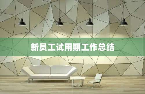 新员工试用期工作总结