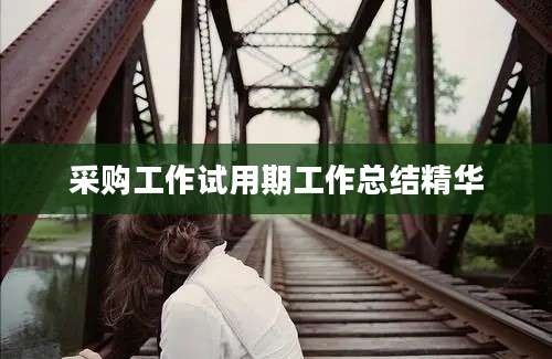 采购工作试用期工作总结精华