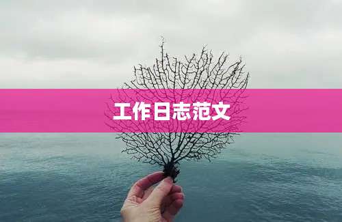 工作日志范文