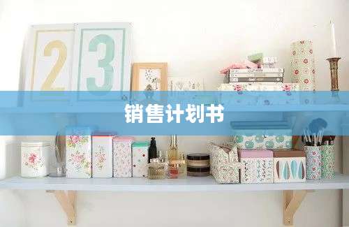 销售计划书