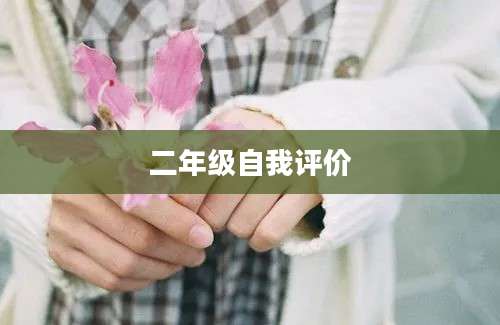 二年级自我评价