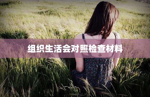 组织生活会对照检查材料