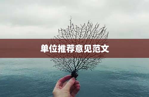 单位推荐意见范文