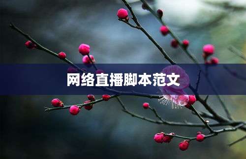 网络直播脚本范文