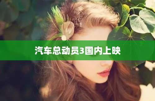汽车总动员3国内上映
