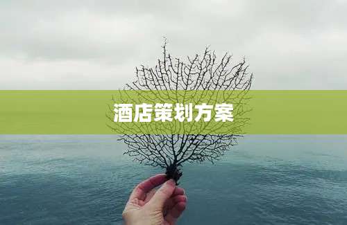 酒店策划方案