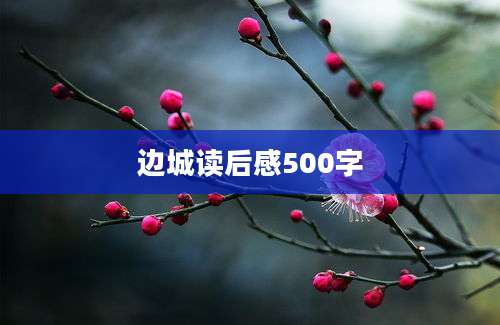边城读后感500字