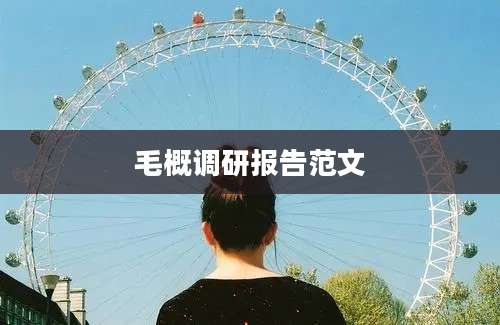 毛概调研报告范文